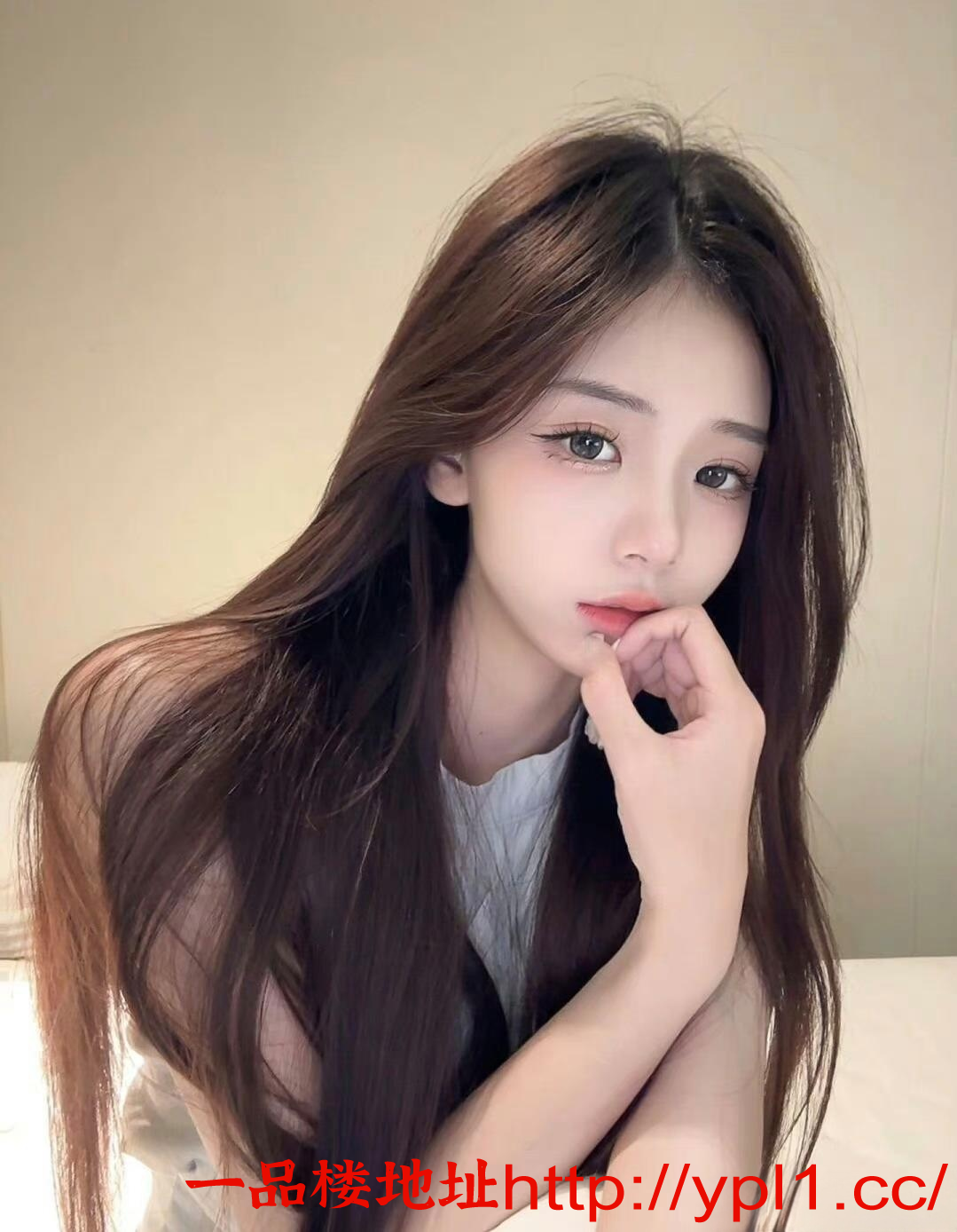 1691902539.png